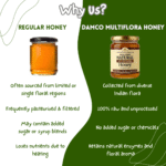 Multiflora Honey - Image 3